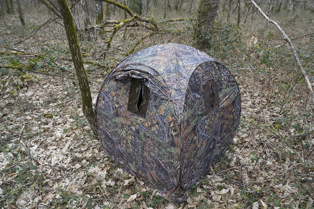 Tragopan Grouse Hide