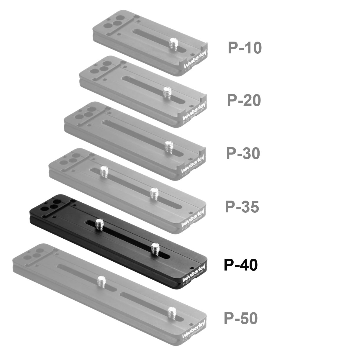 Wimberley P-40 Universal-Objektivplatte (150 mm) Wimberley P-40 Universal-Objektivplatte (150 mm)