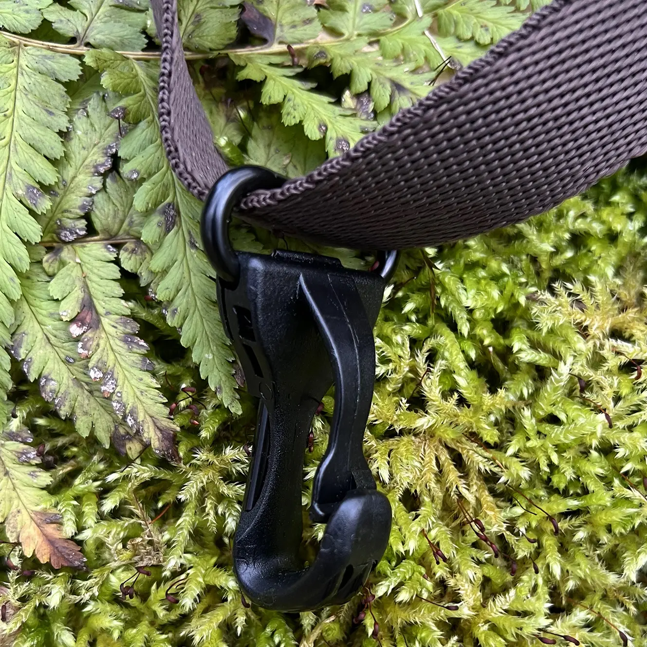 Tragopan Kameragurt für Rucksack Tetras 500 V4 (und andere Rucksackmodelle) Tragopan Kameragurt für Rucksack Tetras 500 V4 (und andere Rucksackmodelle)