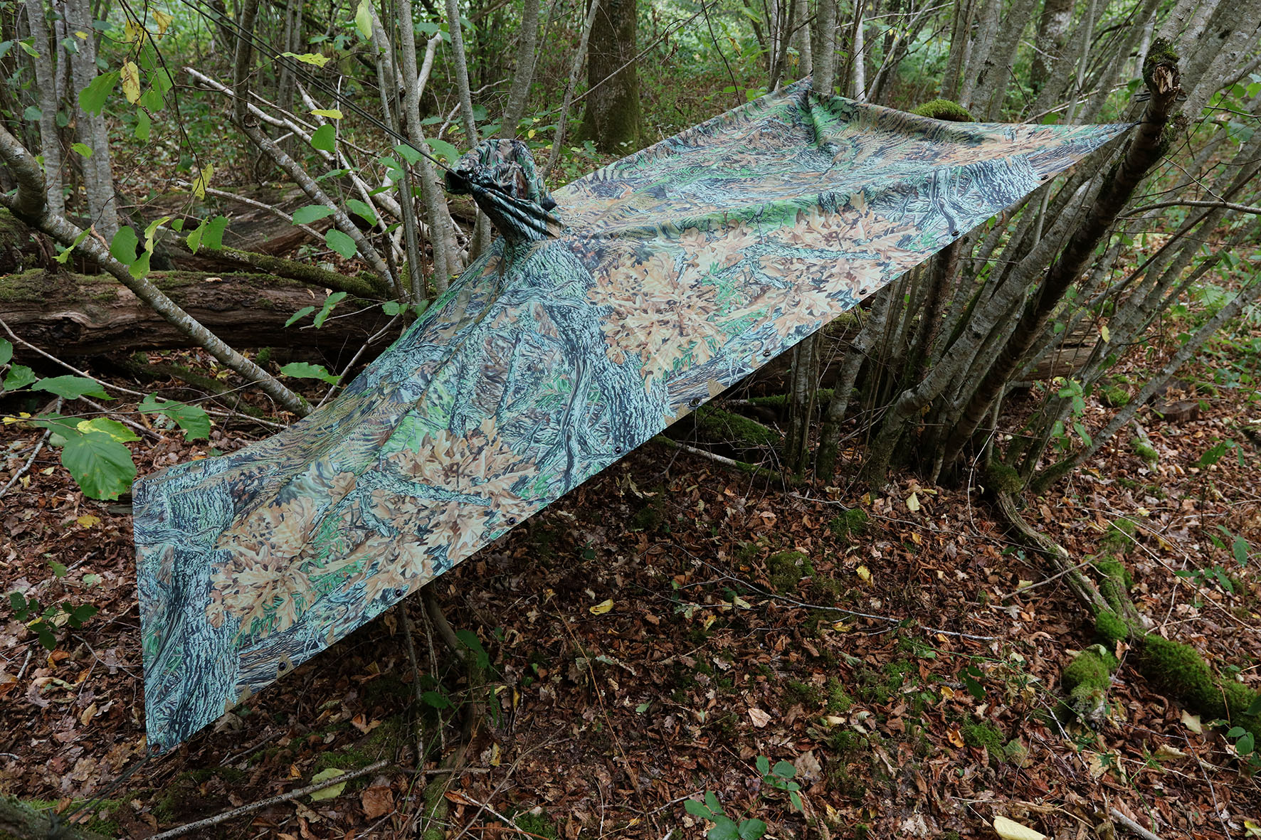 tragopan_trponch002_poncho_v2_AE20617_augenblicke_eingefangen-8