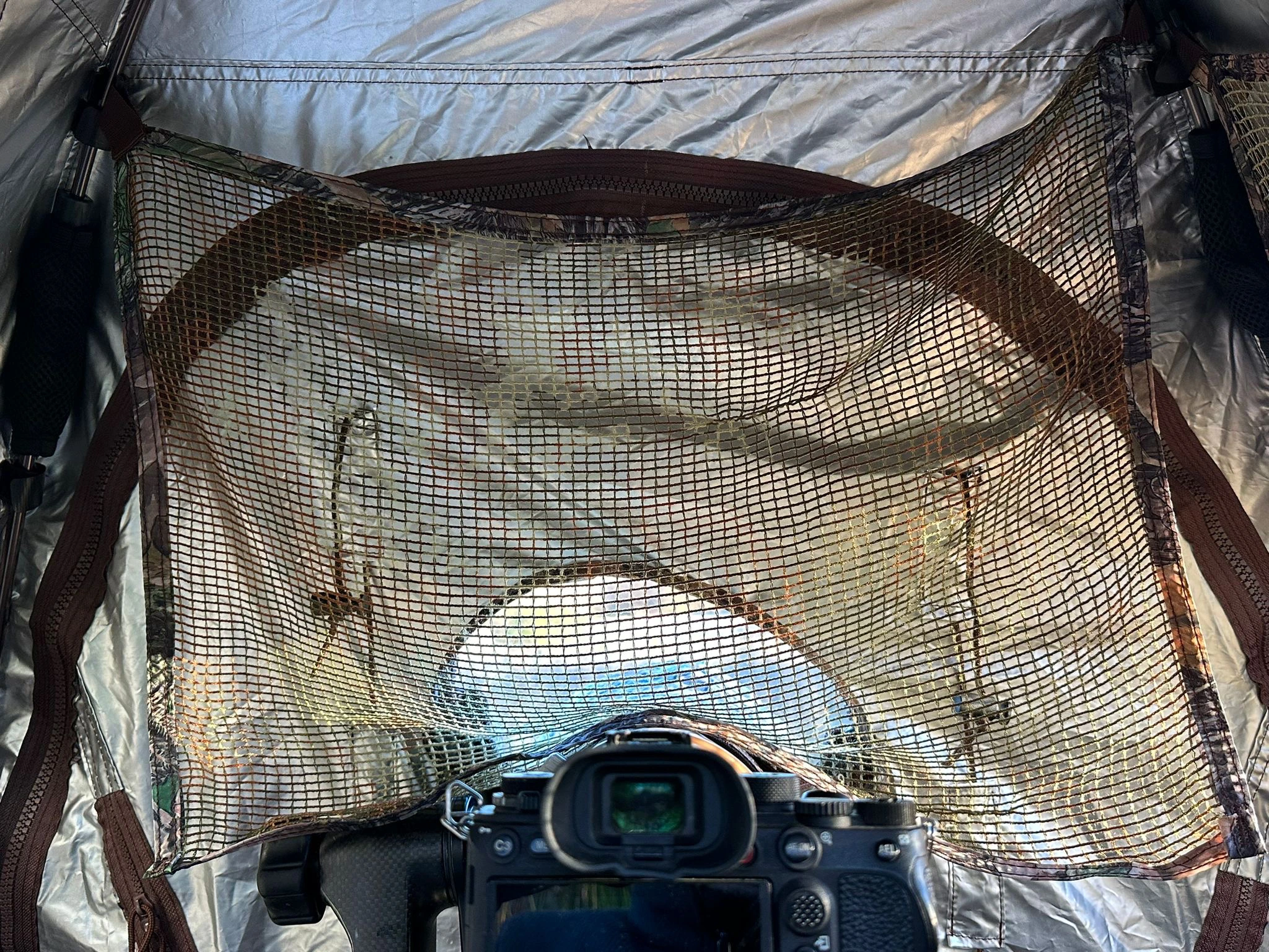 Tragopan V7 Tarnzelt mit 3 Türen Tragopan V7 Tarnzelt mit 3 Türen