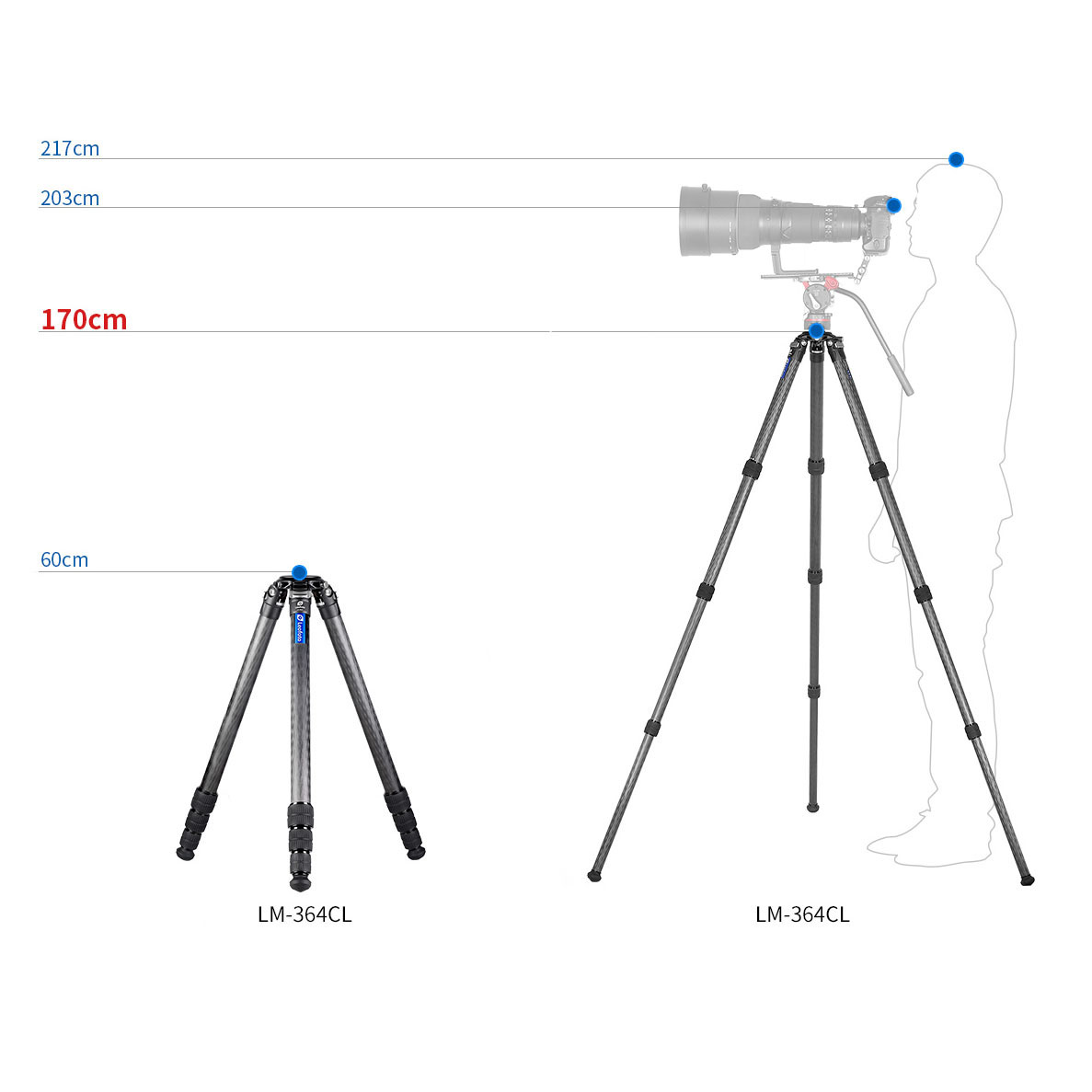 Leofoto LM-364CL Summit Karbon-Stativ Leofoto LM-364CL Summit Karbon-Stativ