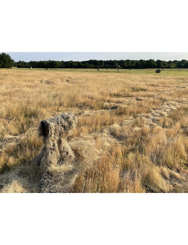 Tragopan Ghillie Beige XL-Sleeve - Tarnung für Kamera-Tele-Objektiv-Kombination Tragopan Ghillie Beige XL-Sleeve - Tarnung für Kamera-Tele-Objektiv-Kombination
