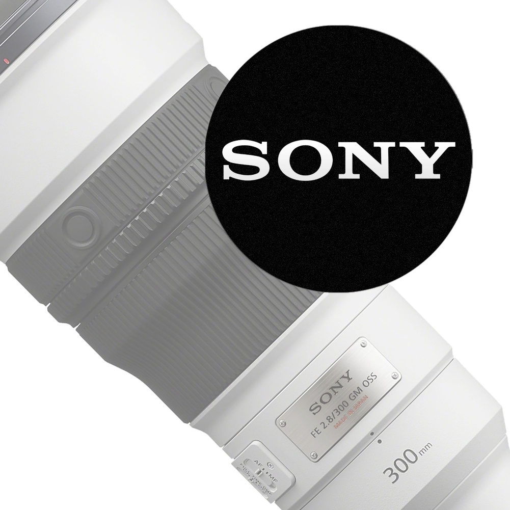 cat%20Sony%20lens.webp?ts=1736234713