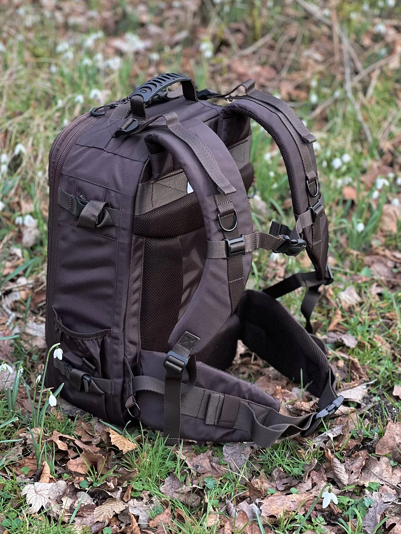 Tragopan Rucksack Tetras 500 V4 Tragopan Rucksack Tetras 500 V4
