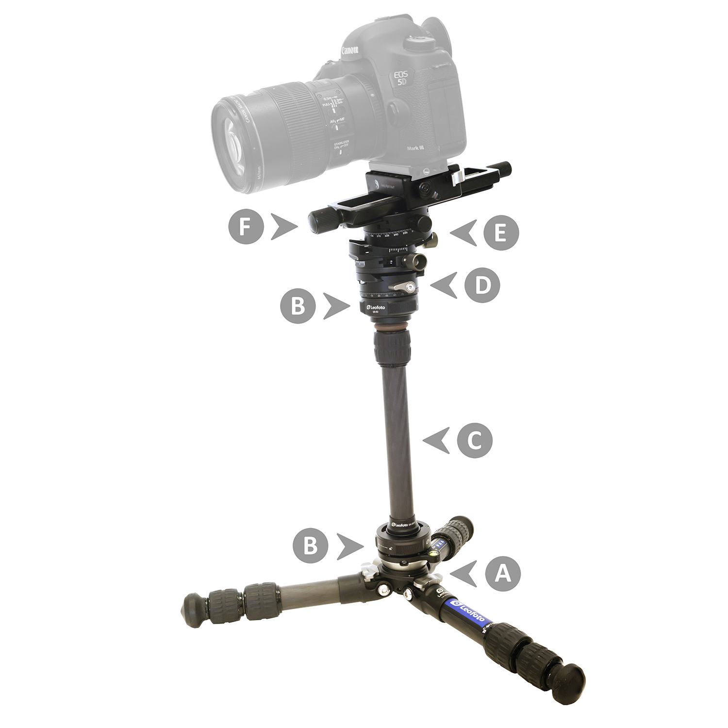 Fotografía macro con trípode: mi configuración favorita