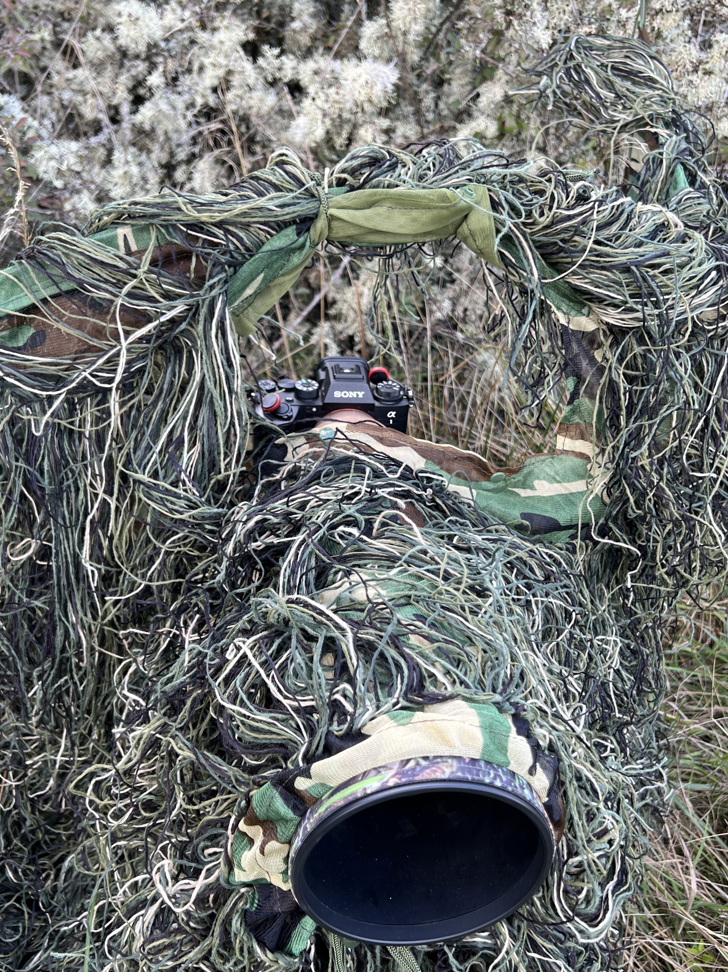 Tragopan G-Lynx Ghillie Netz