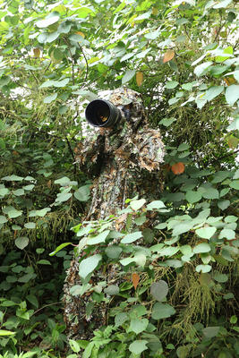 Tragopan 3D Camo Tarn-Suit Tragopan 3D Camo Tarn-Suit