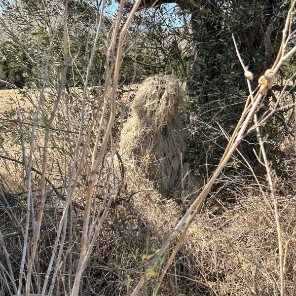 Tragopan Ghillie - Tarnmantel Beige Tragopan Ghillie - Tarnmantel Beige