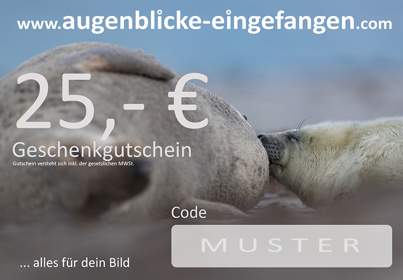 Geschenkgutschein