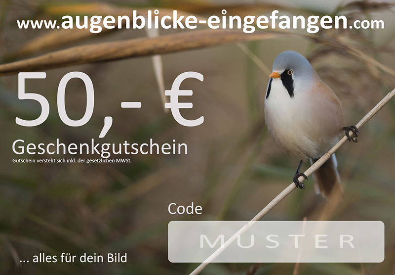 Geschenkgutschein