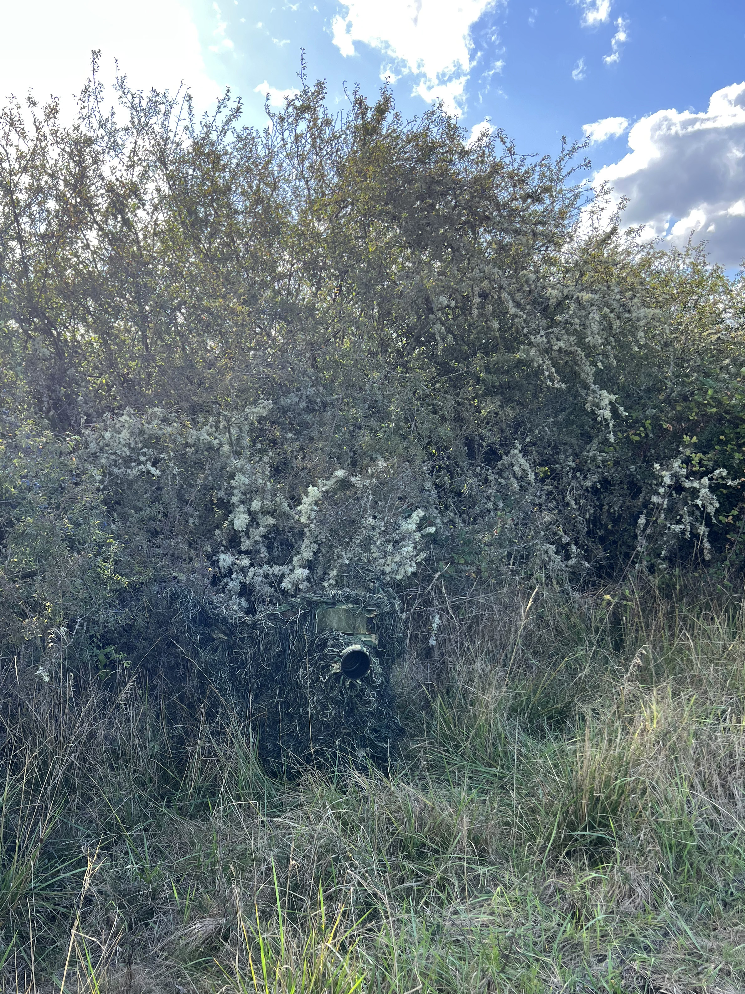 Tragopan G-Lynx Ghillie Set