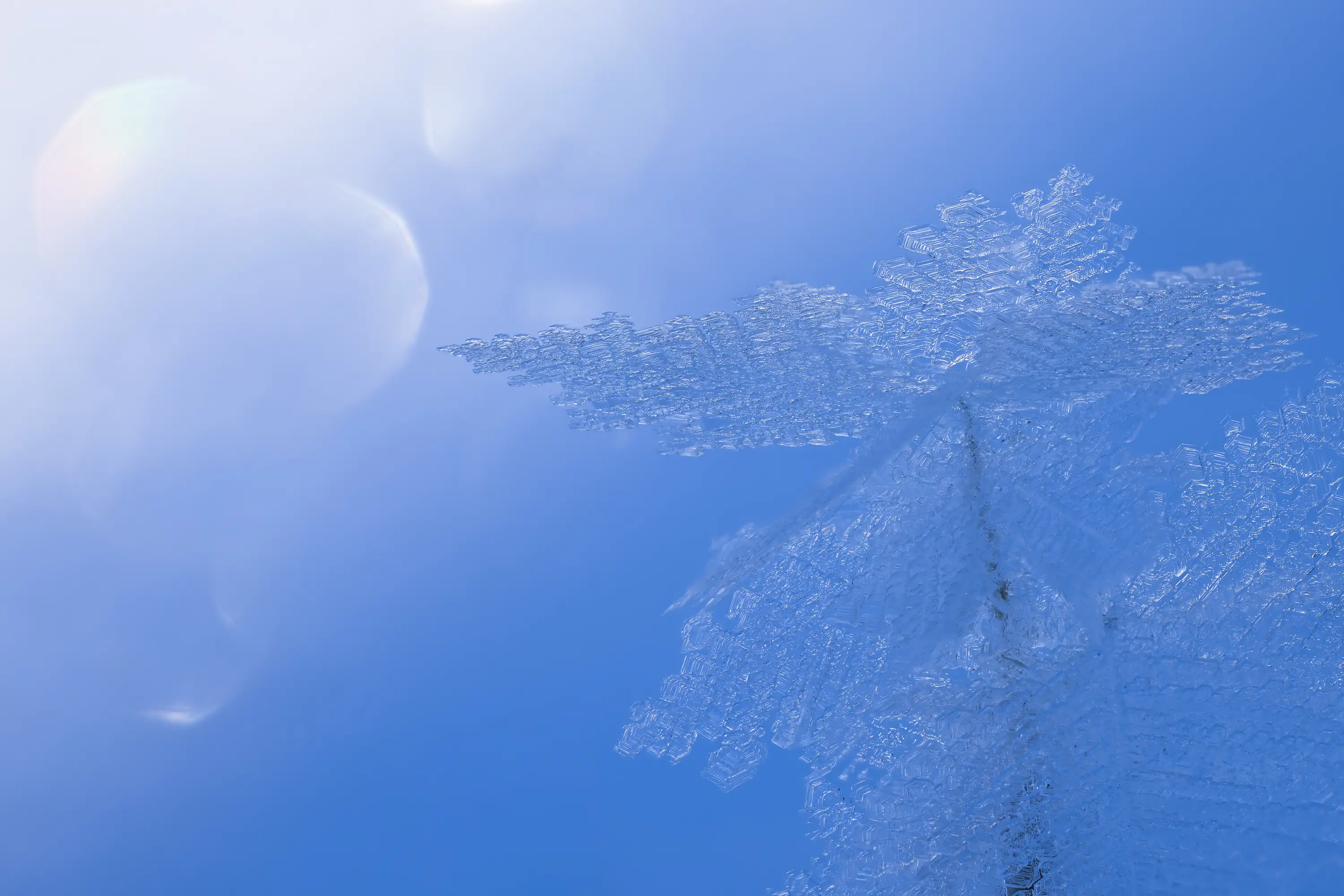 FAQ zum Flexshooter Stativkopf