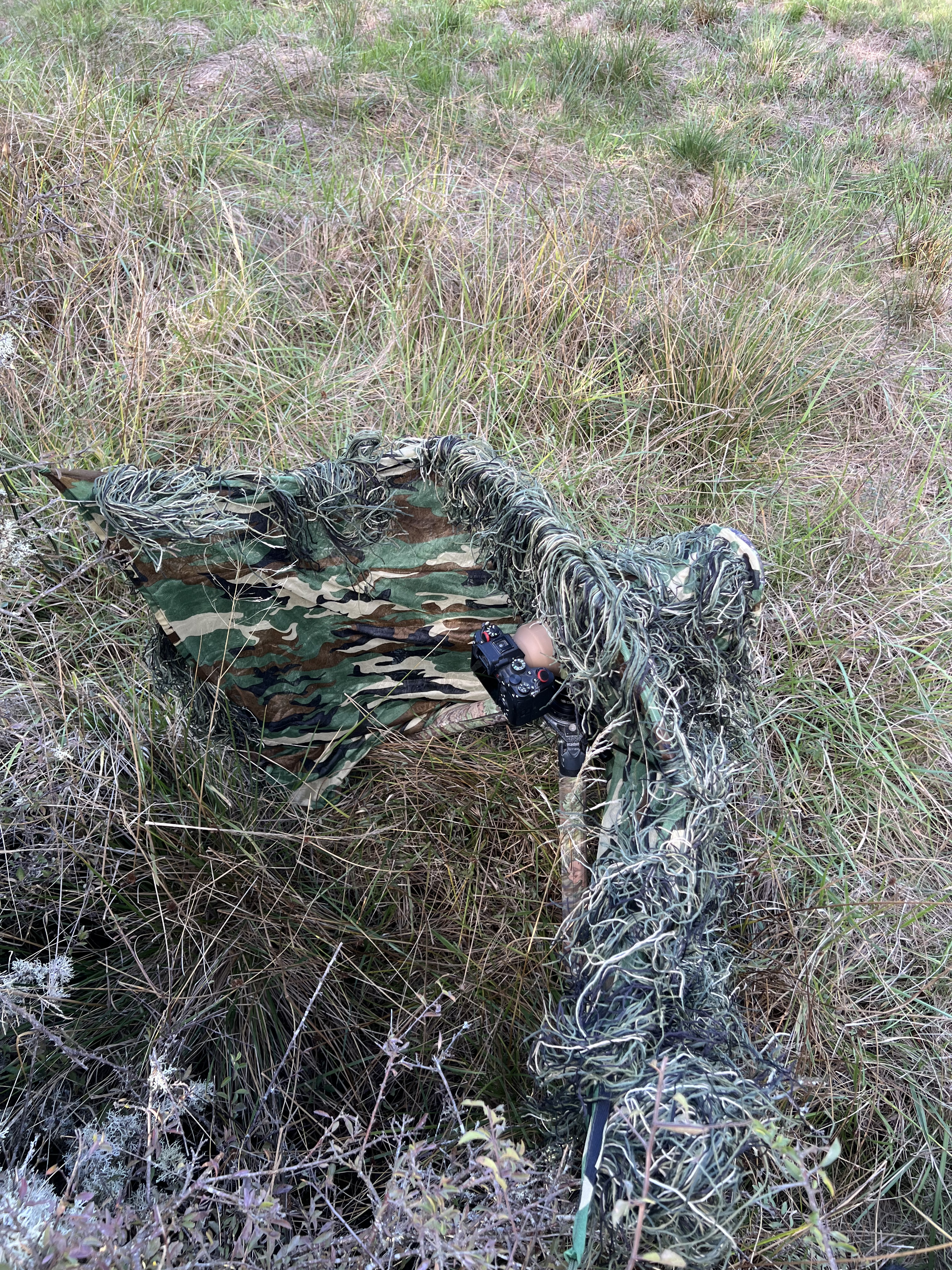 Tragopan G-Lynx Ghillie Set