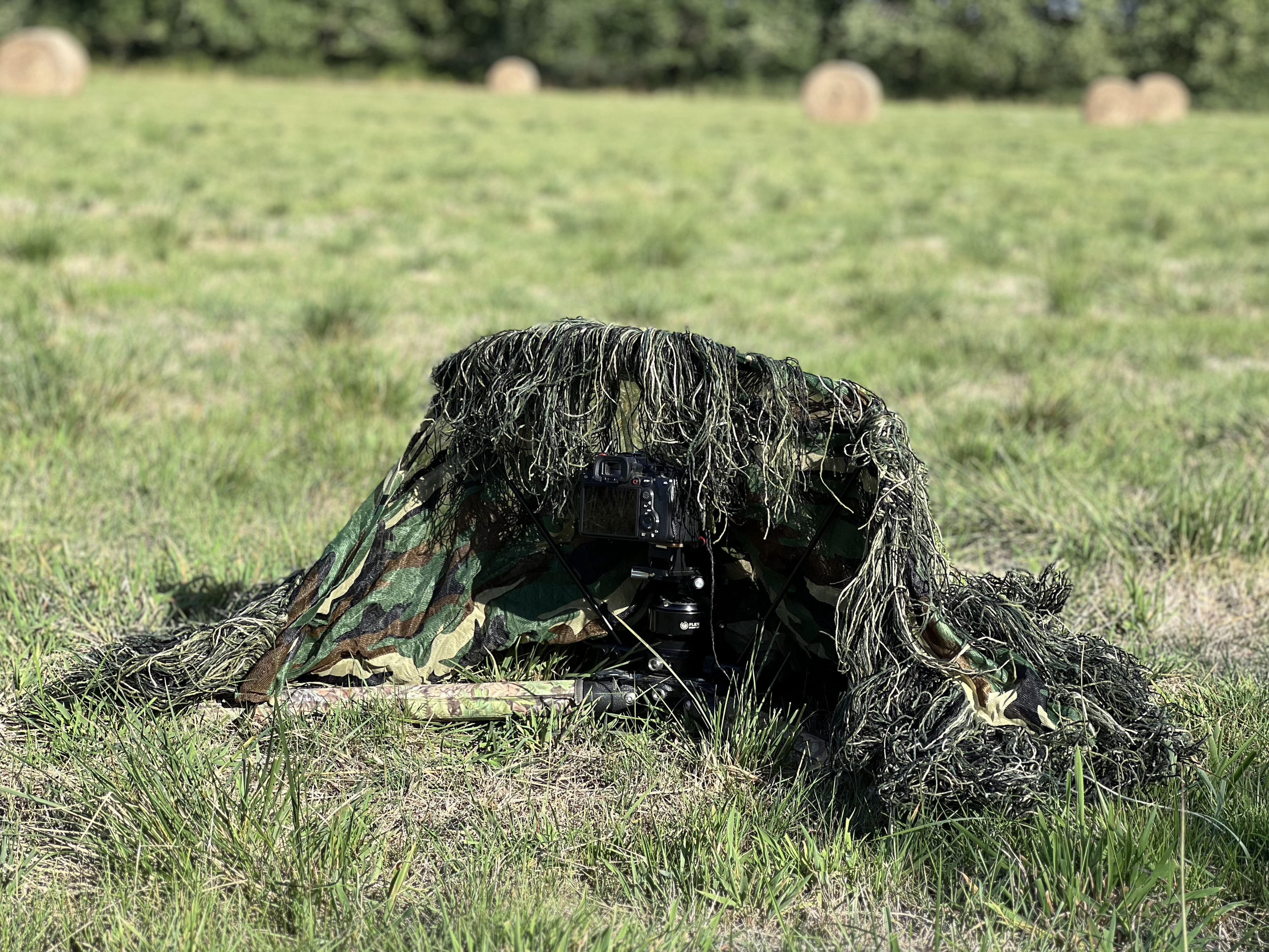 Tragopan G-Lynx Ghillie Netz