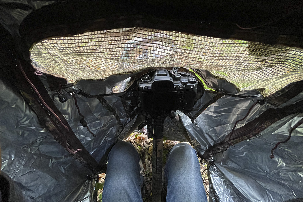 Tragopan Überzelt für Lagopus B & S Tragopan Überzelt für Lagopus B & S