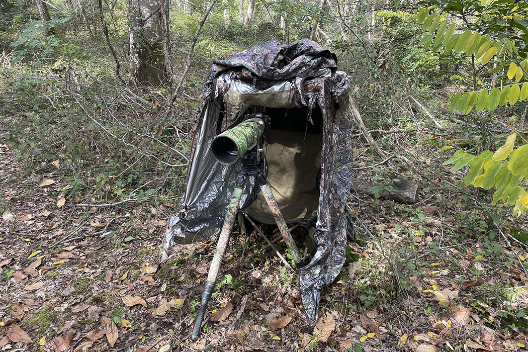 Tragopan Überzelt für Lagopus B & S Tragopan Überzelt für Lagopus B & S