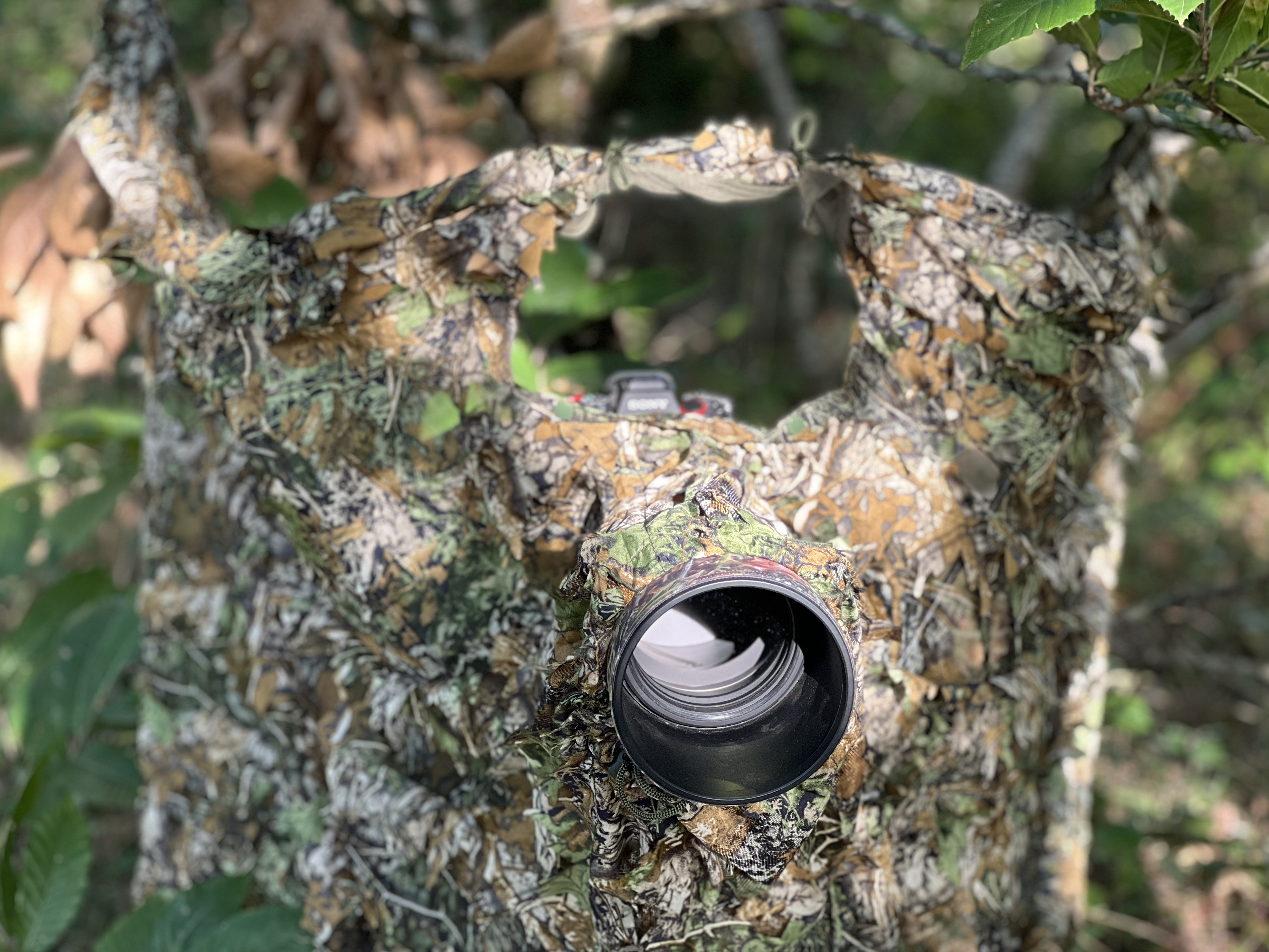 Tragopan G-Lynx 3D Tarnnetz (only) Tragopan G-Lynx 3D Tarnnetz (only)