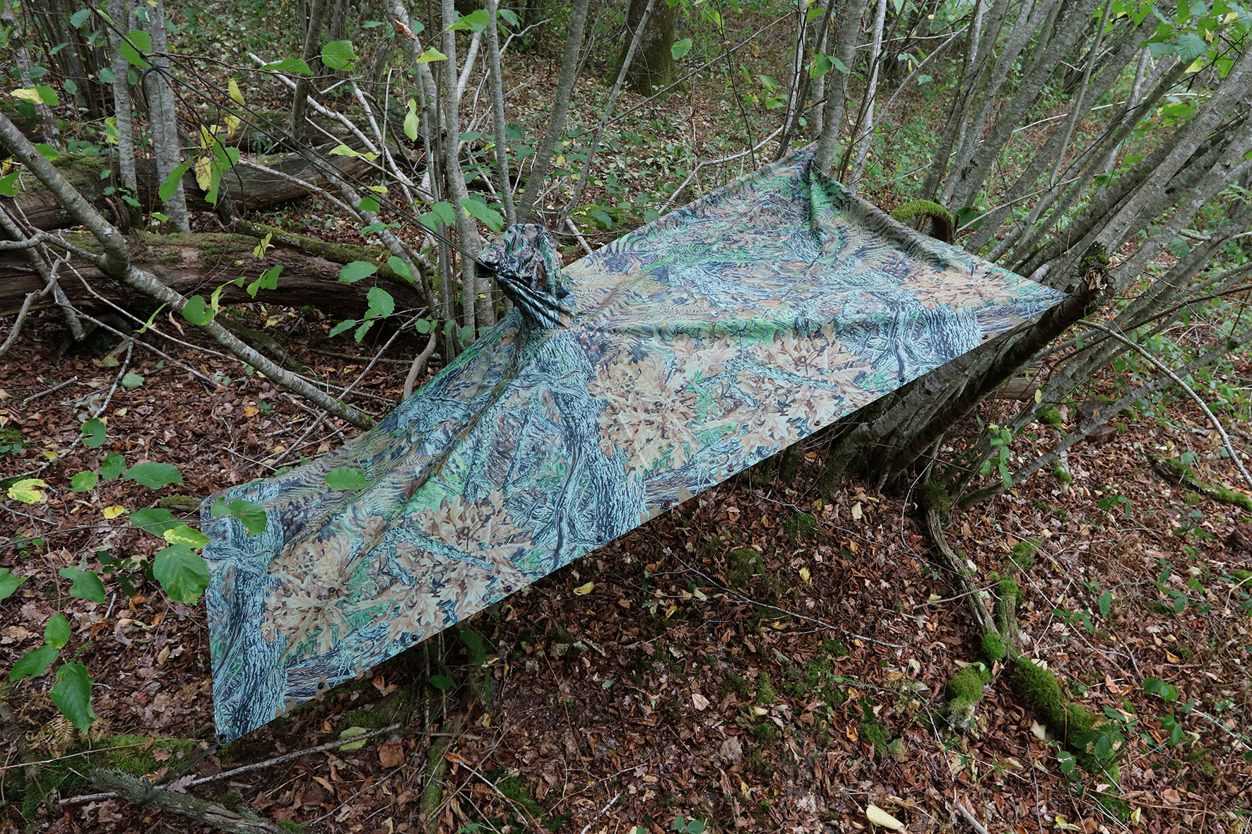 Tragopan Poncho V2 Tragopan Poncho V2