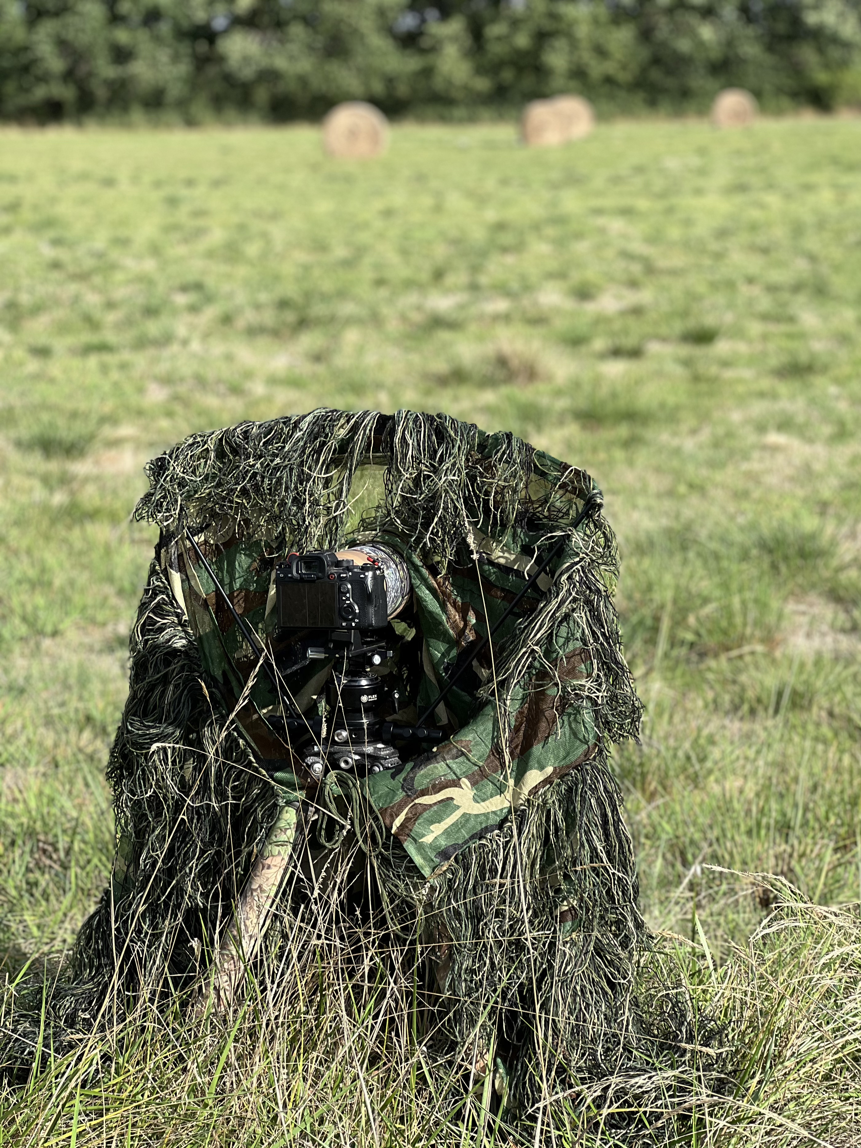 Tragopan G-Lynx Ghillie Netz