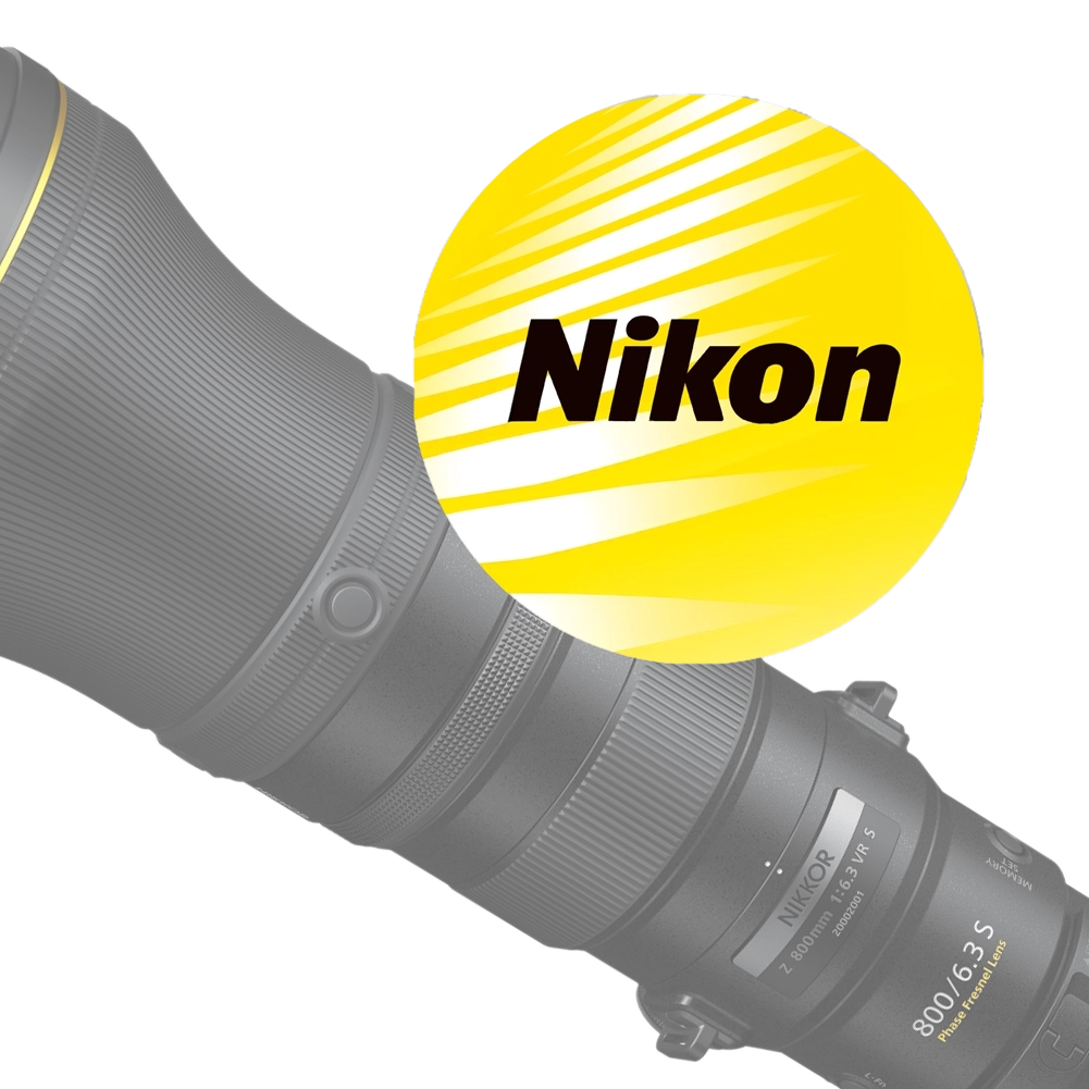 cat%20Nikon%20lens.webp?ts=1736234713
