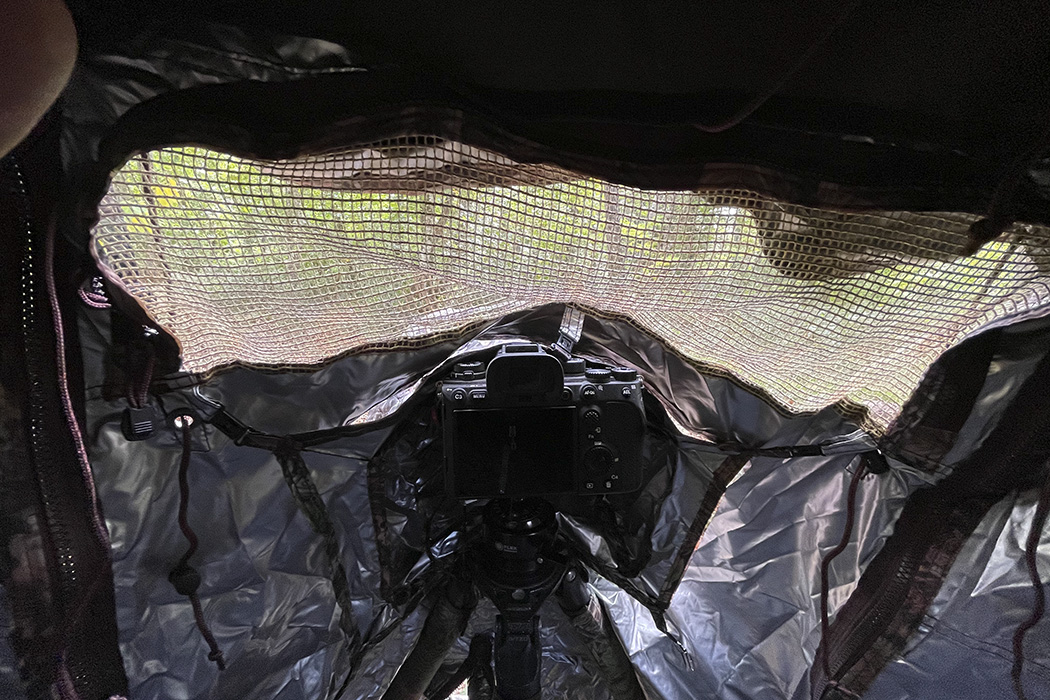 Tragopan Überzelt für Lagopus B & S Tragopan Überzelt für Lagopus B & S