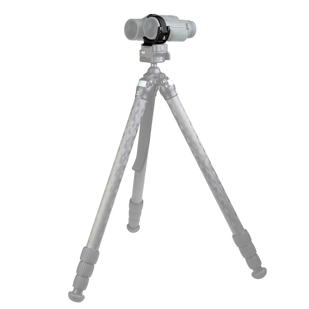 Really Right Stuff Cinch-LR Elite Bino Schnellwechsel-Adapter für Fernglas Really Right Stuff Cinch-LR Elite Bino Schnellwechsel-Adapter für Fernglas