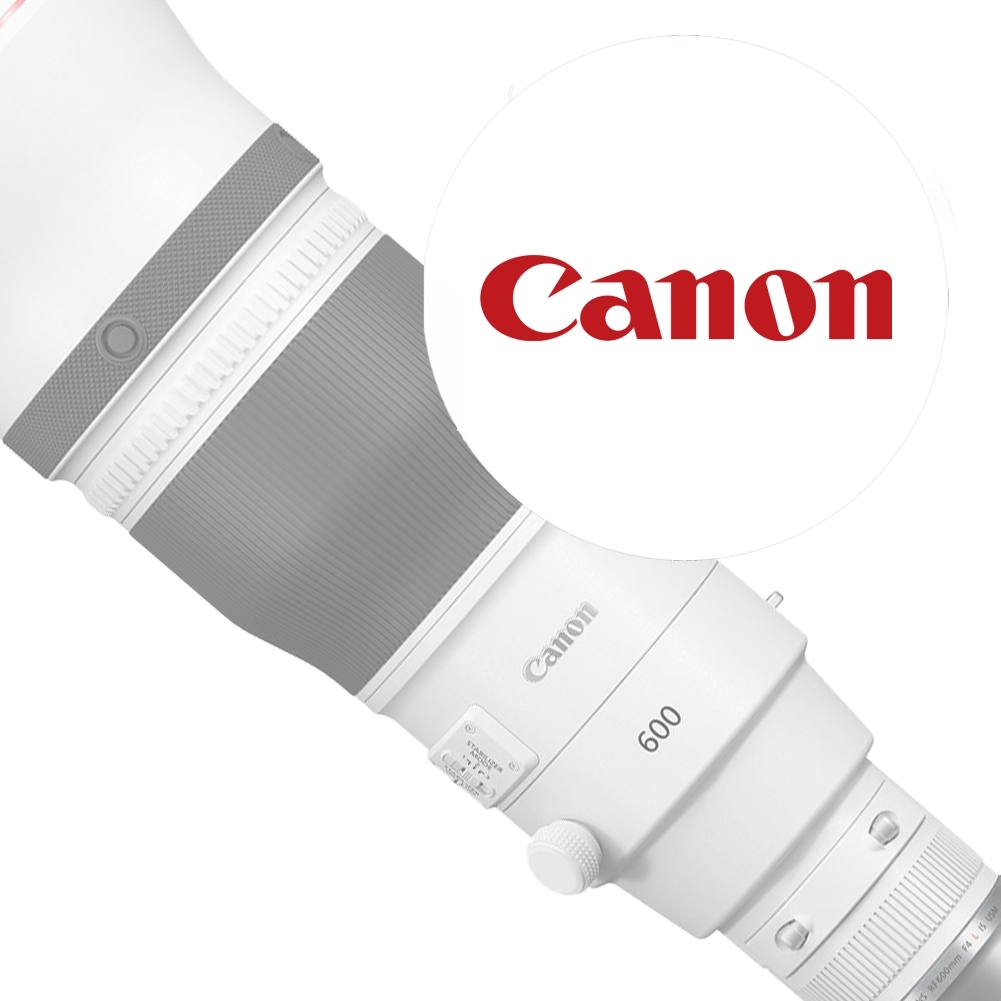cat%20canon%20lens.webp?ts=1736234713