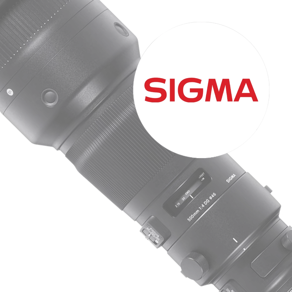 cat-sigma-lens.webp?ts=1736347912