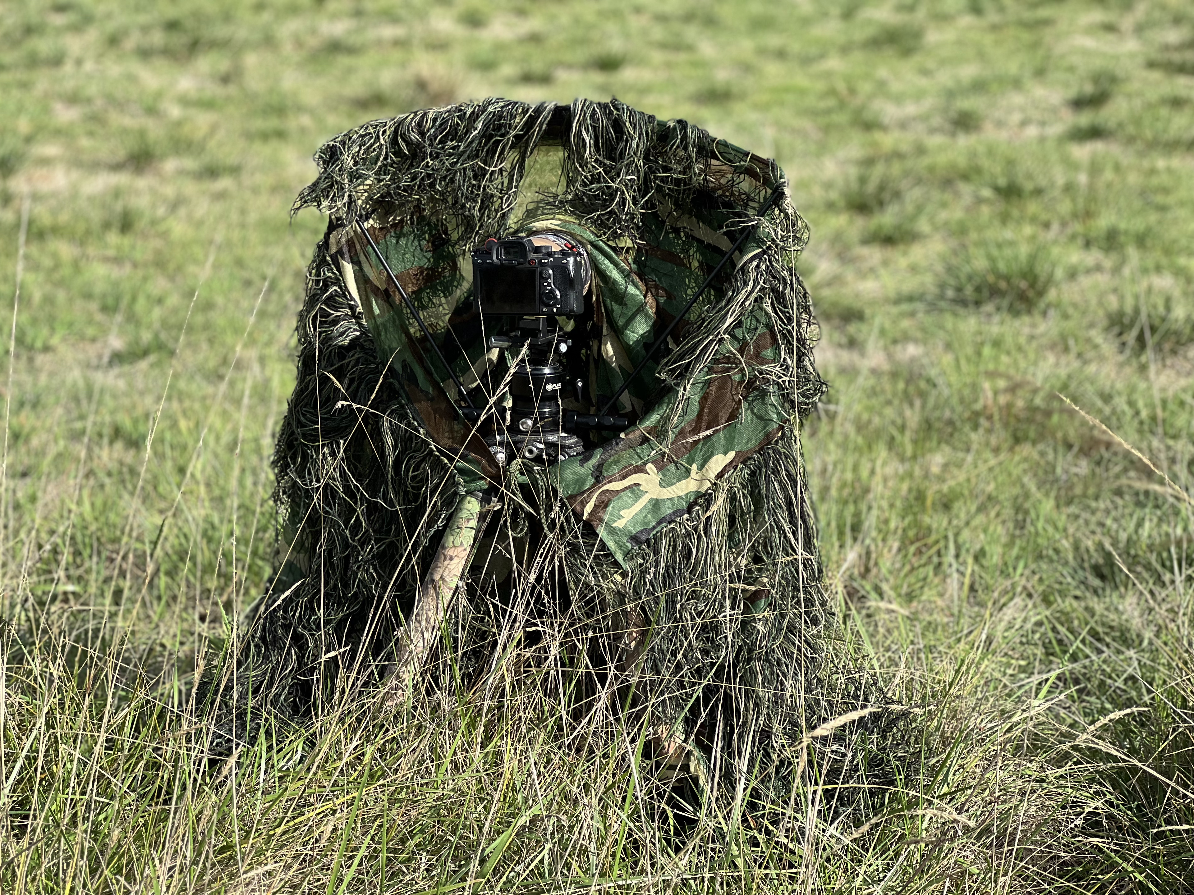 Tragopan G-Lynx Ghillie Netz