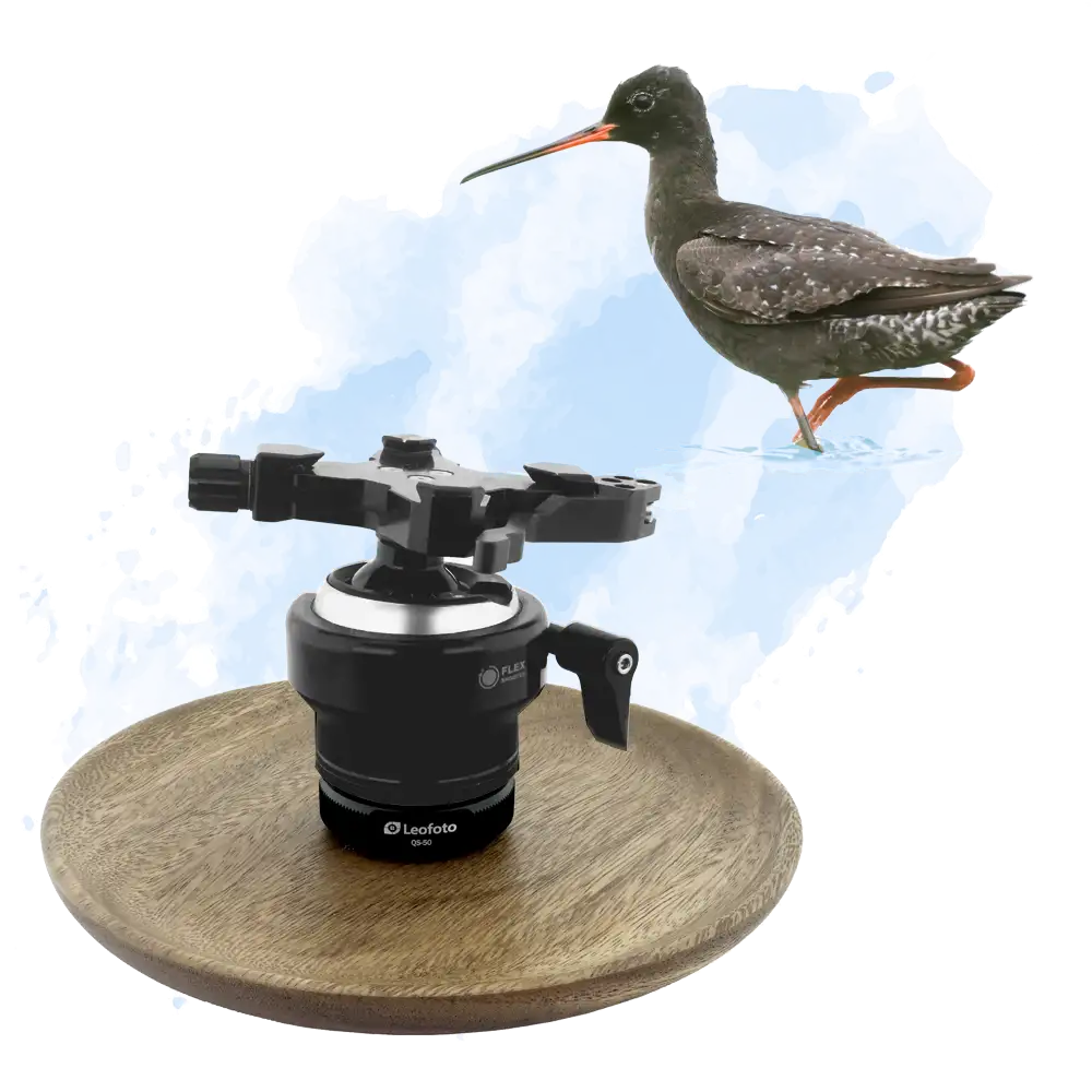 Vogelzug... oder Fotografie im Liegen