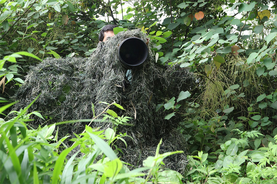 Tragopan Ghillie - Tarnung 2.5 x 1.5 m (Grün) Tragopan Ghillie - Tarnung 2.5 x 1.5 m (Grün)