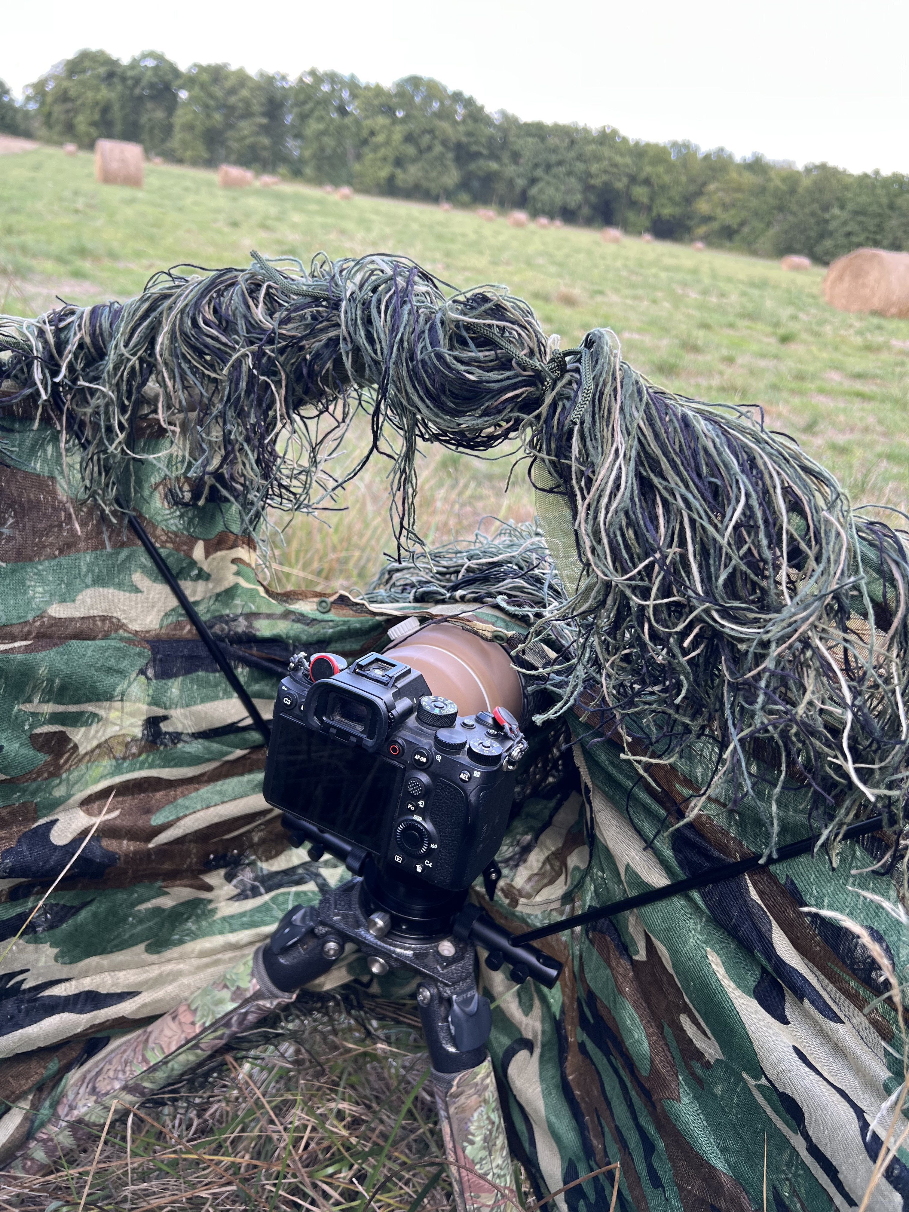 Tragopan G-Lynx Ghillie Set