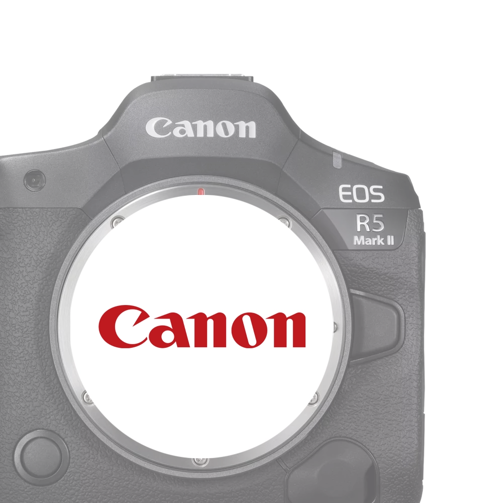cat%20canon.webp?ts=1736181909