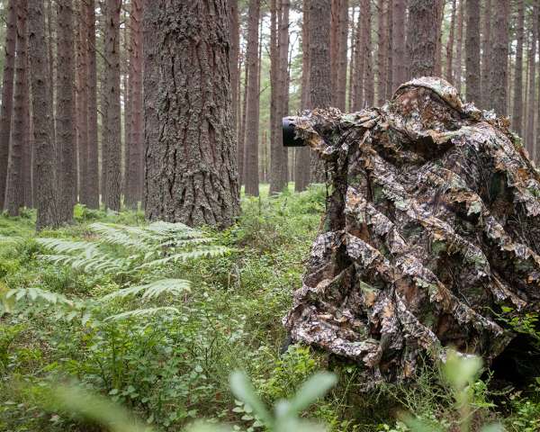 Tragopan 3D Camo - Poncho