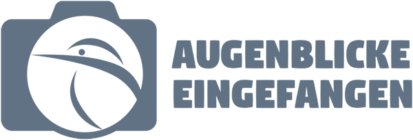 Augenblicke-eingefangen