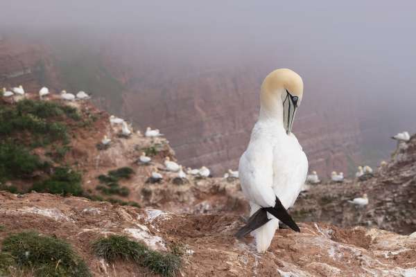 BLOG-Helgoland21-augenblicke-eingefangen-016